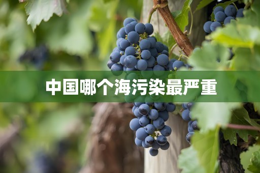 中国哪个海污染最严重
