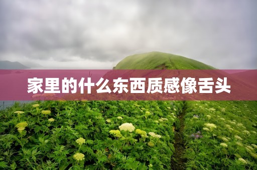 家里的什么东西质感像舌头