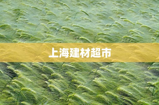 上海建材超市