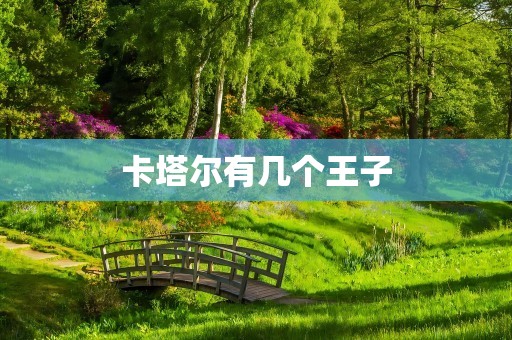 卡塔尔有几个王子