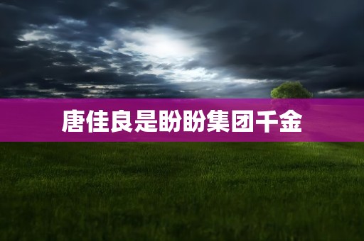 唐佳良是盼盼集团千金