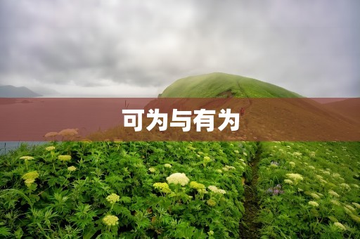 可为与有为