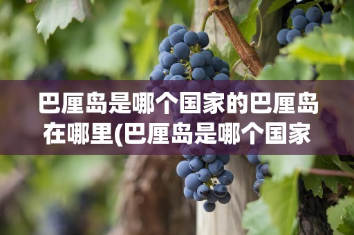 巴厘岛是哪个国家的巴厘岛在哪里(巴厘岛是哪个国家的岛)