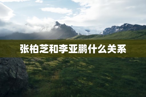 张柏芝和李亚鹏什么关系