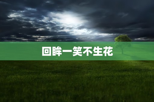 回眸一笑不生花