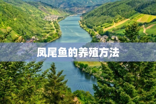 凤尾鱼的养殖方法