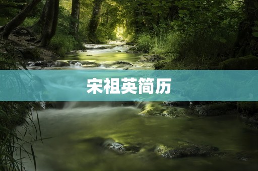 宋祖英简历