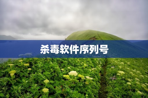 杀毒软件序列号
