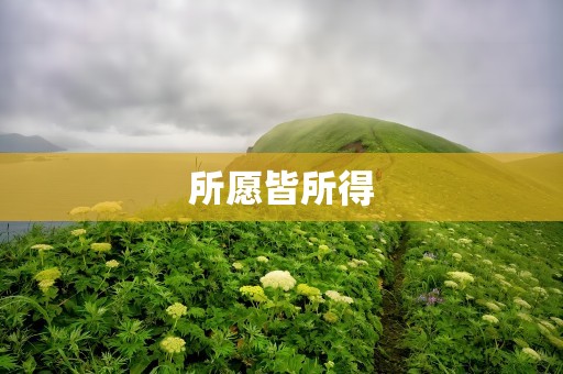 所愿皆所得