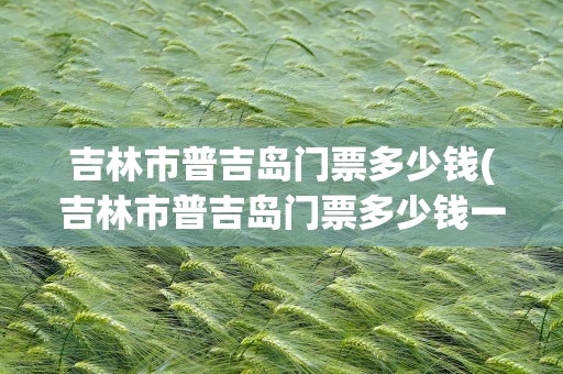 吉林市普吉岛门票多少钱(吉林市普吉岛门票多少钱一张)