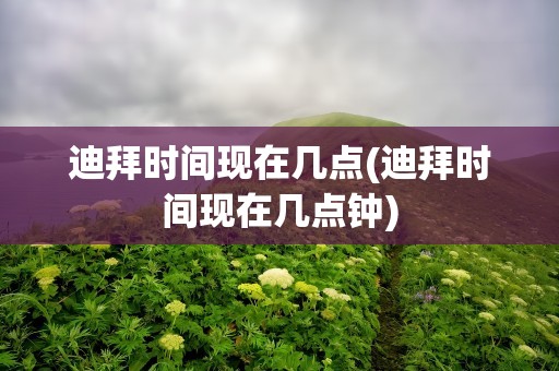 迪拜时间现在几点(迪拜时间现在几点钟)