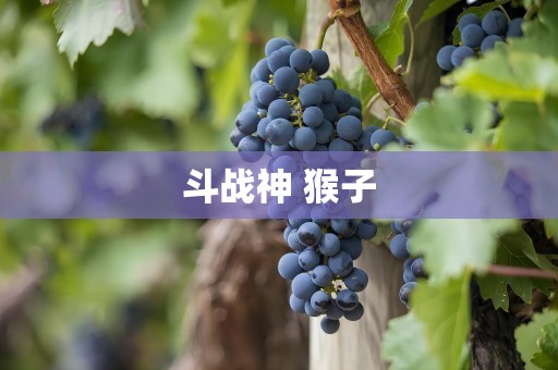 斗战神 猴子