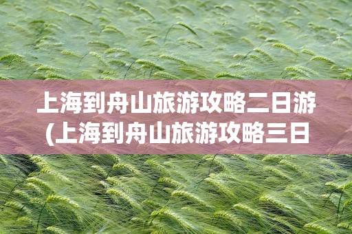 上海到舟山旅游攻略二日游(上海到舟山旅游攻略三日游)