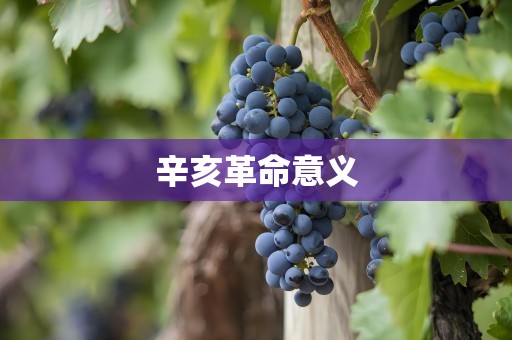 辛亥革命意义