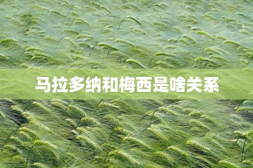 马拉多纳和梅西是啥关系