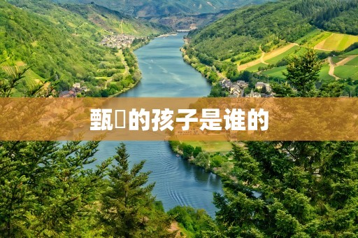 甄嬛的孩子是谁的