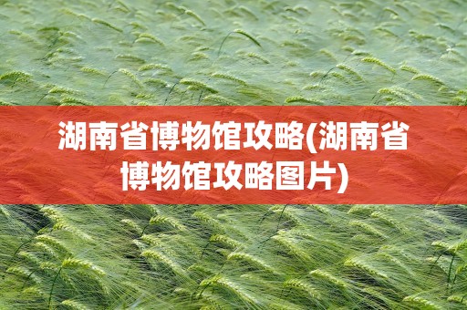 湖南省博物馆攻略(湖南省博物馆攻略图片)