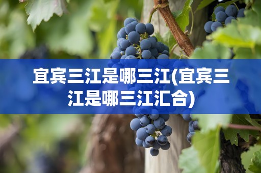 宜宾三江是哪三江(宜宾三江是哪三江汇合)
