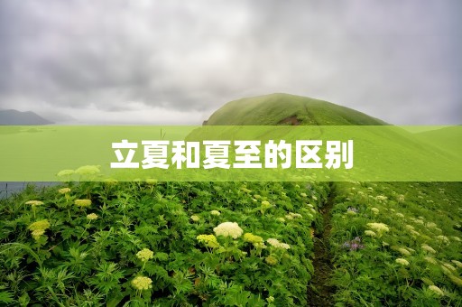 立夏和夏至的区别