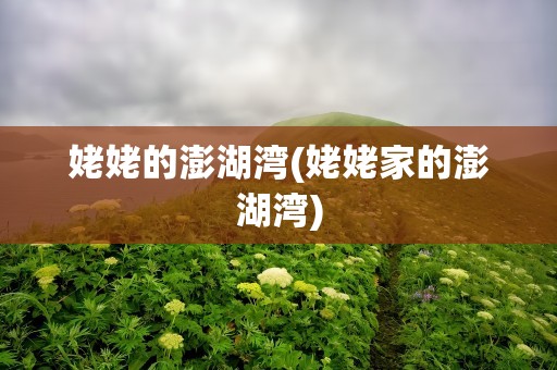 姥姥的澎湖湾(姥姥家的澎湖湾)