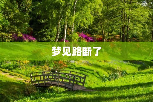 梦见路断了