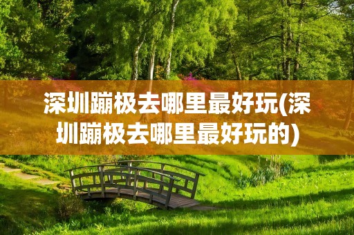 深圳蹦极去哪里最好玩(深圳蹦极去哪里最好玩的)