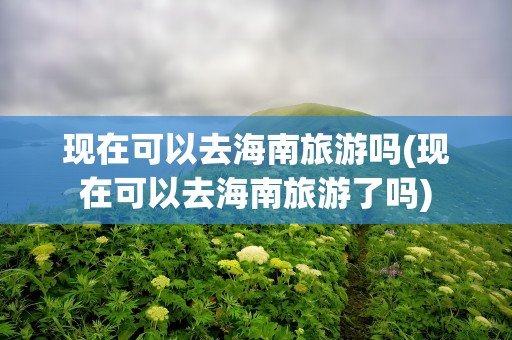 现在可以去海南旅游吗(现在可以去海南旅游了吗)