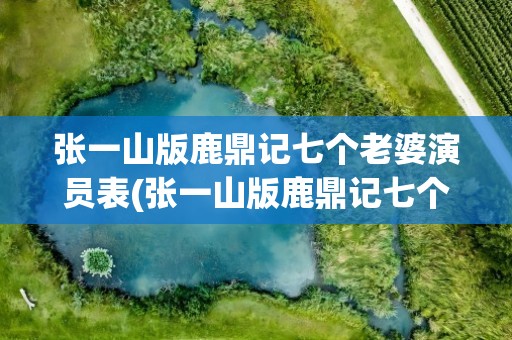 张一山版鹿鼎记七个老婆演员表(张一山版鹿鼎记七个老婆演员表图片)