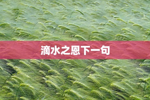 滴水之恩下一句