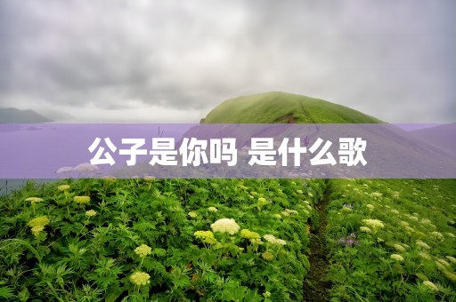公子是你吗 是什么歌