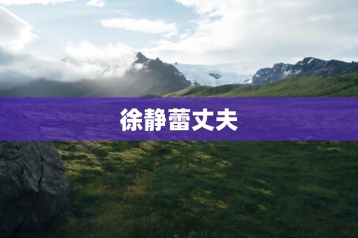 徐静蕾丈夫