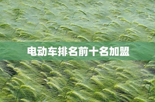 电动车排名前十名加盟