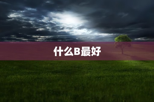 什么B最好