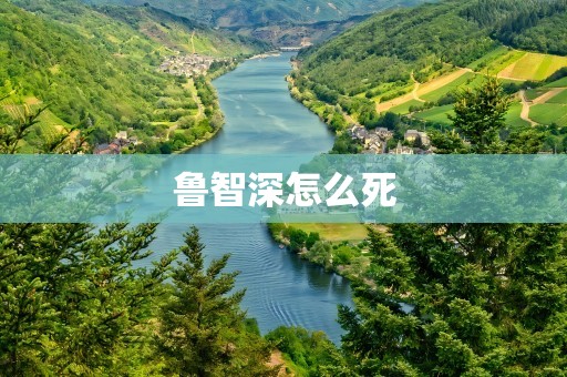 鲁智深怎么死