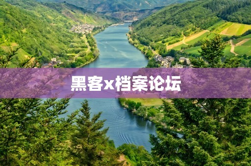 黑客x档案论坛