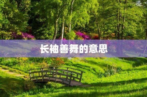 长袖善舞的意思