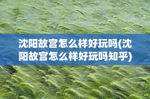 沈阳故宫怎么样好玩吗(沈阳故宫怎么样好玩吗知乎)