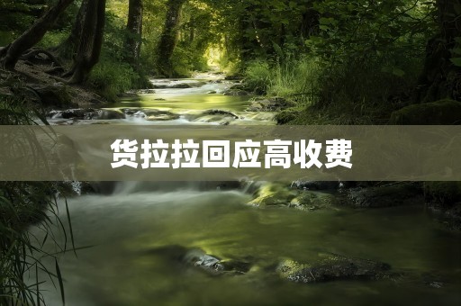 货拉拉回应高收费