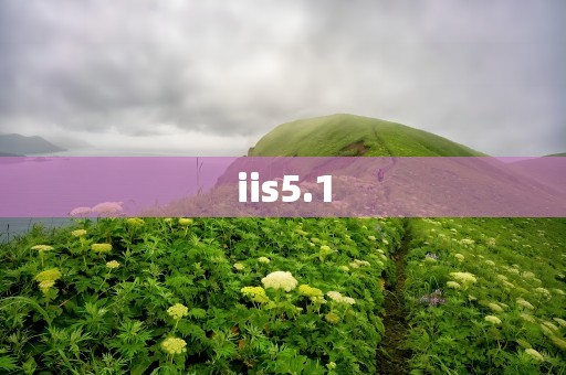 iis5.1
