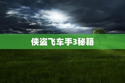 侠盗飞车手3秘籍