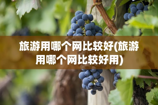 旅游用哪个网比较好(旅游用哪个网比较好用)