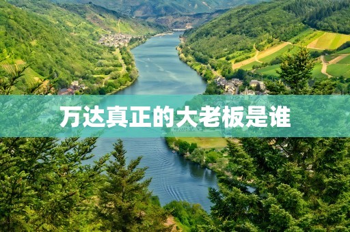 万达真正的大老板是谁