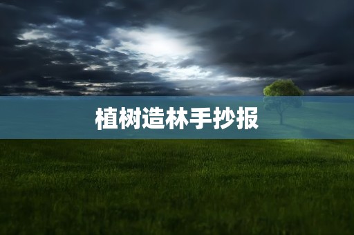 植树造林手抄报