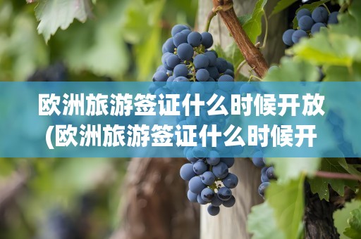 欧洲旅游签证什么时候开放(欧洲旅游签证什么时候开放的)