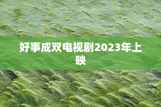 好事成双电视剧2023年上映