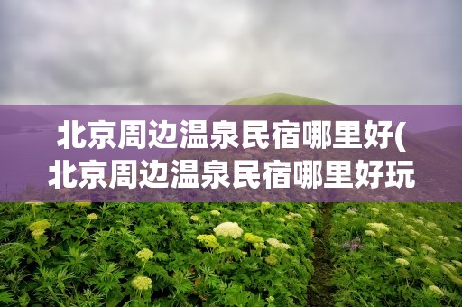 北京周边温泉民宿哪里好(北京周边温泉民宿哪里好玩)