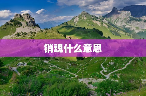 销魂什么意思