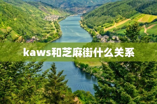 kaws和芝麻街什么关系