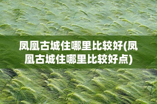 凤凰古城住哪里比较好(凤凰古城住哪里比较好点)