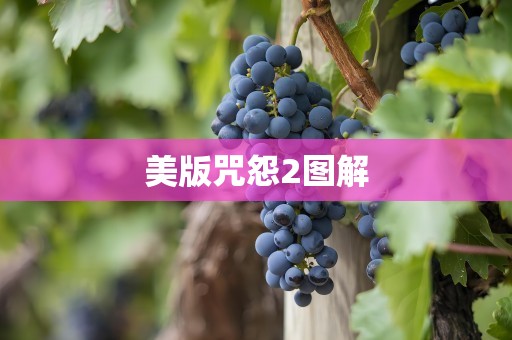 美版咒怨2图解